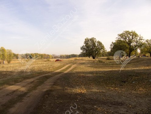 Фото Властелин 3