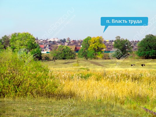 Фото Властелин 5