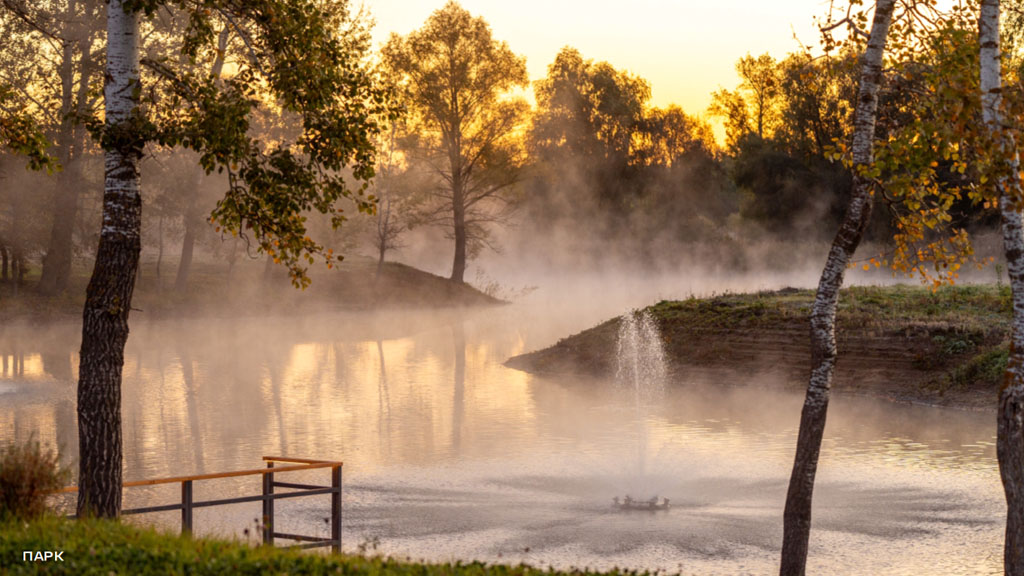 Фото Ярград 15